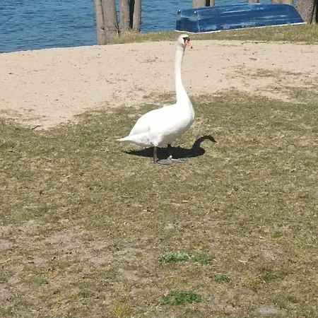 Apartman Zakatek Mala