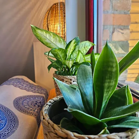 Zakatek Mala-apartamenty Nad Jeziorem * Kołczewo