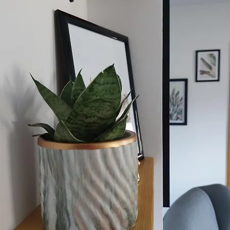 Apartment Zakatek Mala-apartamenty Nad Jeziorem Kolczewo