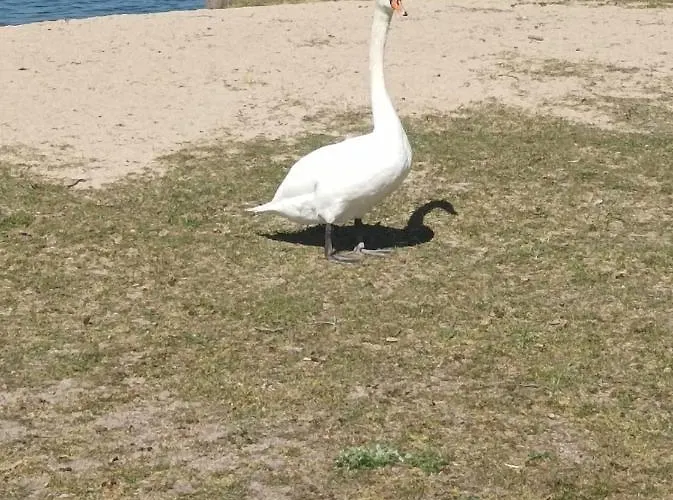 Apartmán Zakatek Mala-apartamenty Nad Jeziorem
