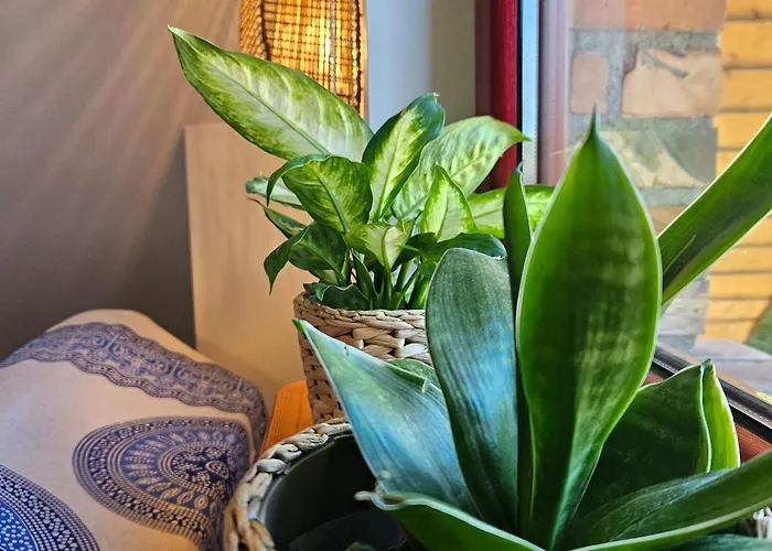 Zakatek Mala-apartamenty Nad Jeziorem * Kołczewo